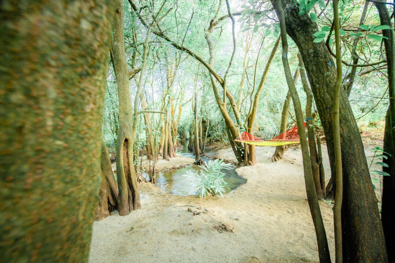 Kayjay Wild Wilpattu Hotel Buitenkant foto