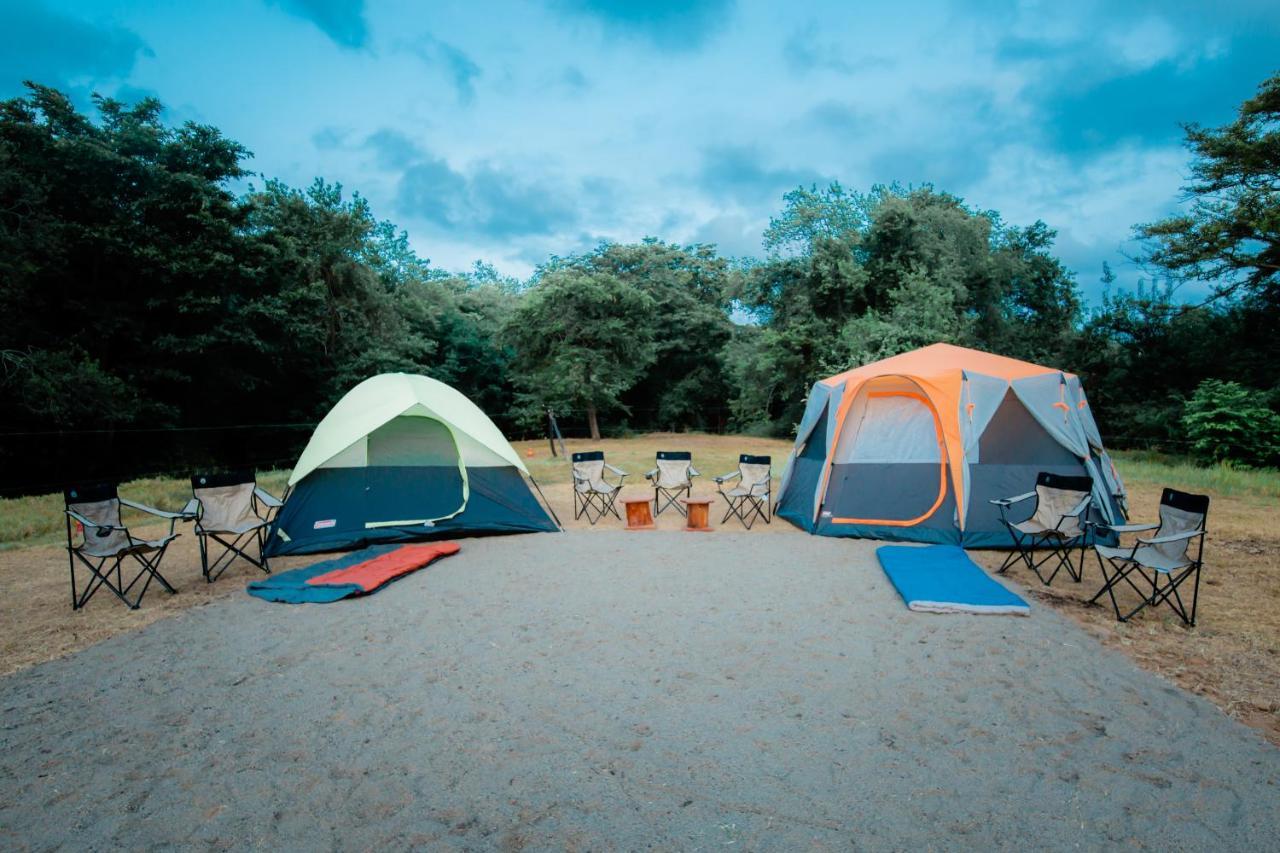 Kayjay Wild Wilpattu Hotel Buitenkant foto