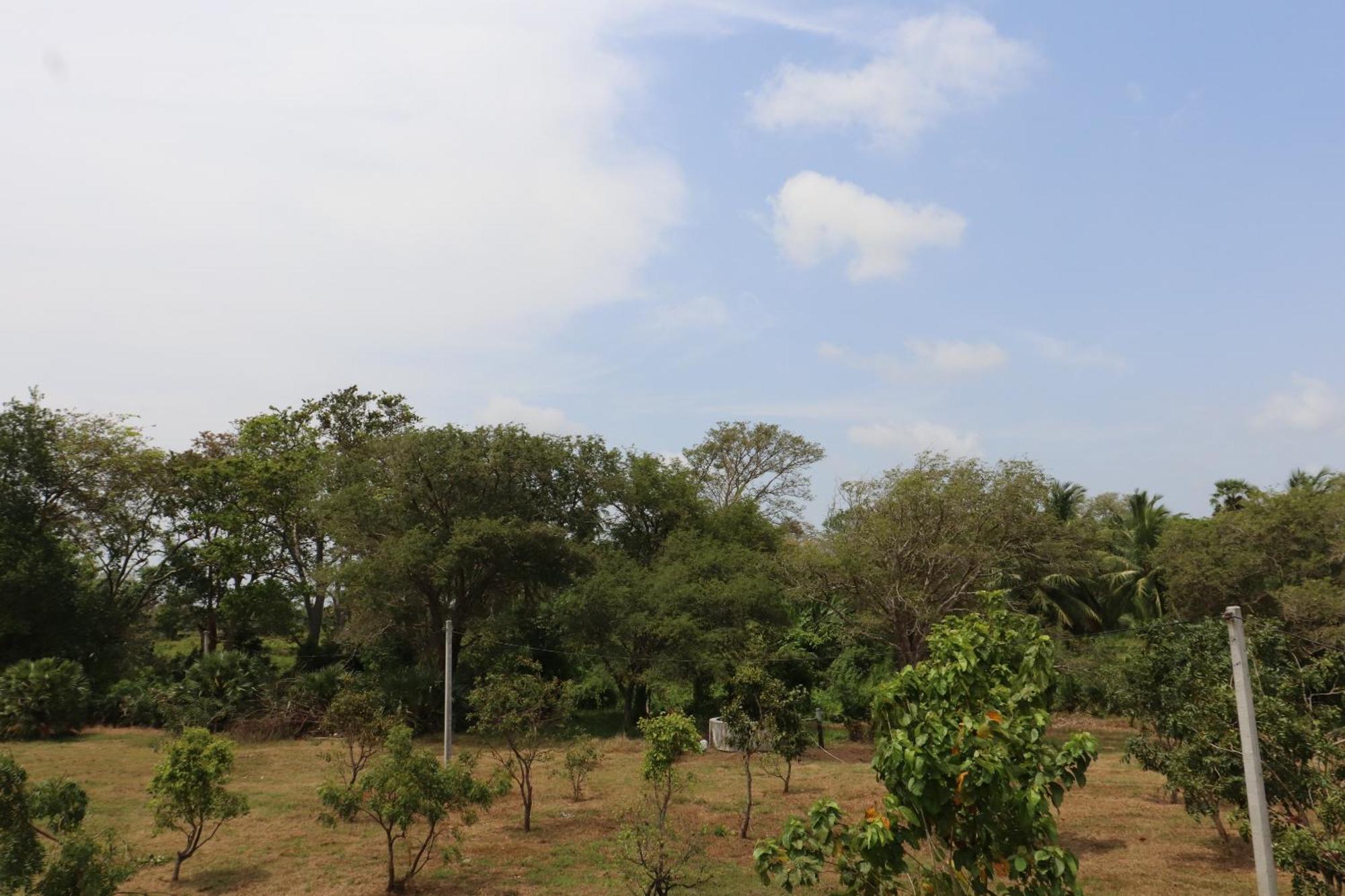 Kayjay Wild Wilpattu Hotel Buitenkant foto