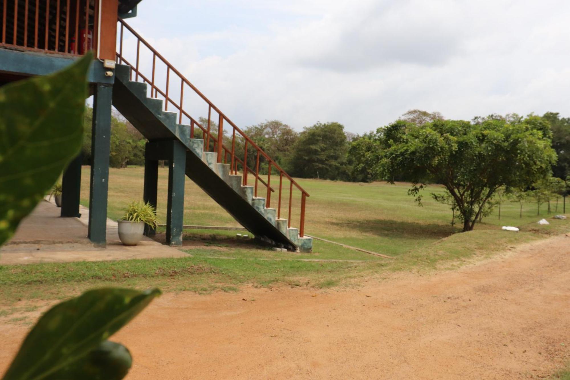 Kayjay Wild Wilpattu Hotel Buitenkant foto