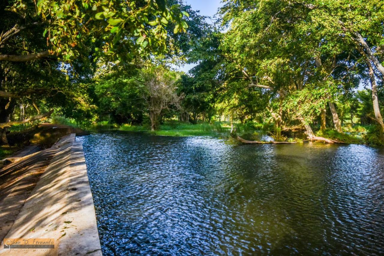 Kayjay Wild Wilpattu Hotel Buitenkant foto