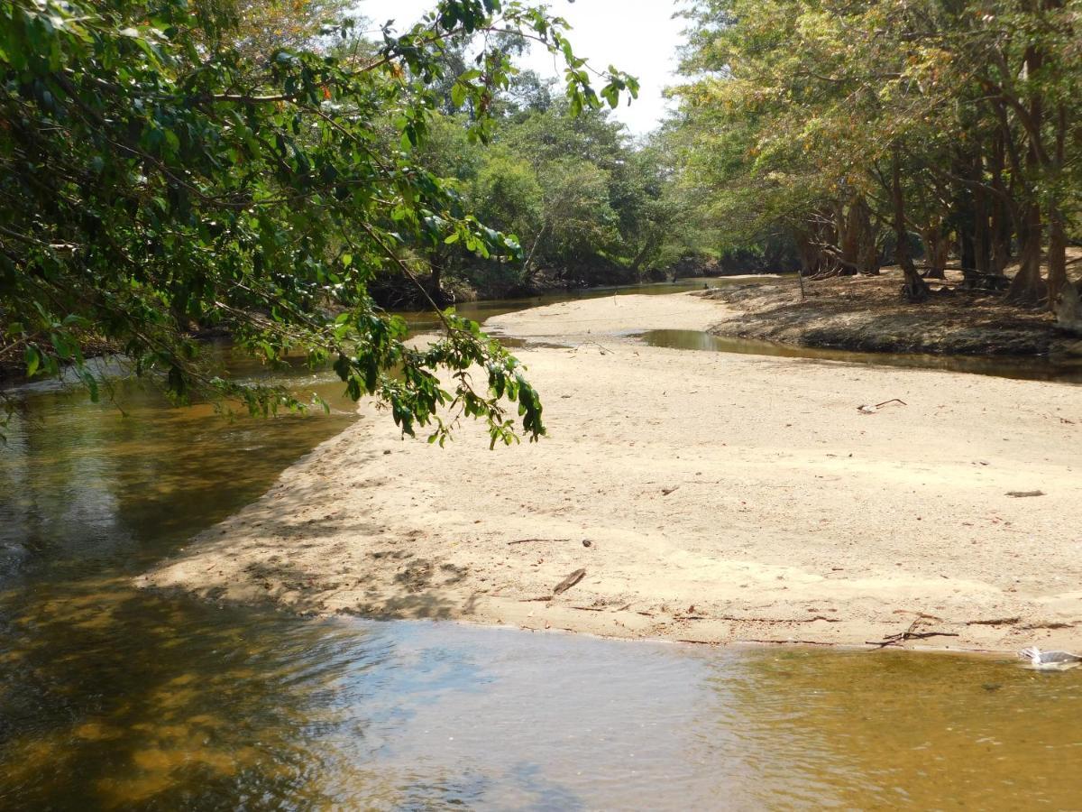 Kayjay Wild Wilpattu Hotel Buitenkant foto